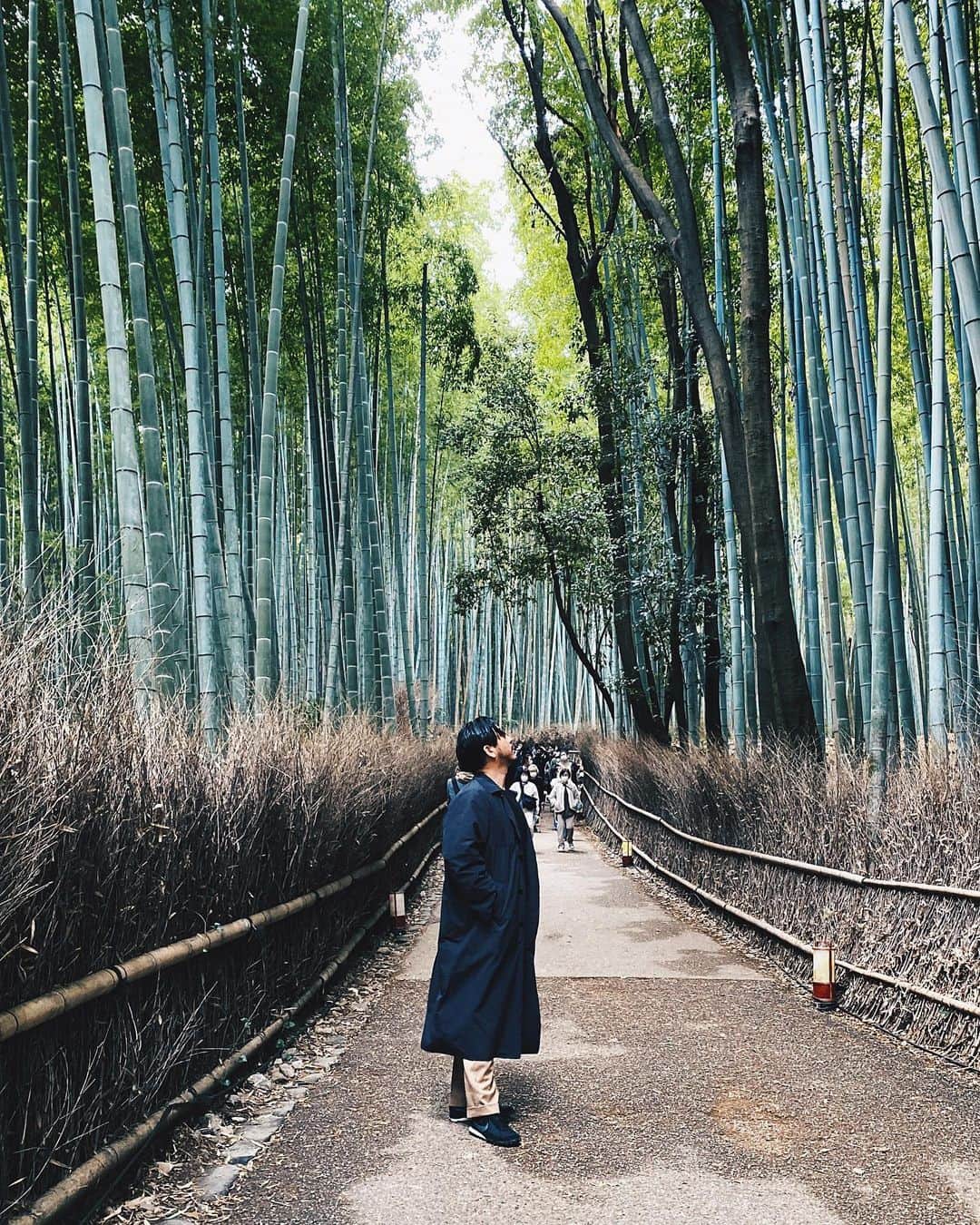 小塚源太のインスタグラム：「🎋🎋🎋 全力京都 #Kyoto #Japan」
