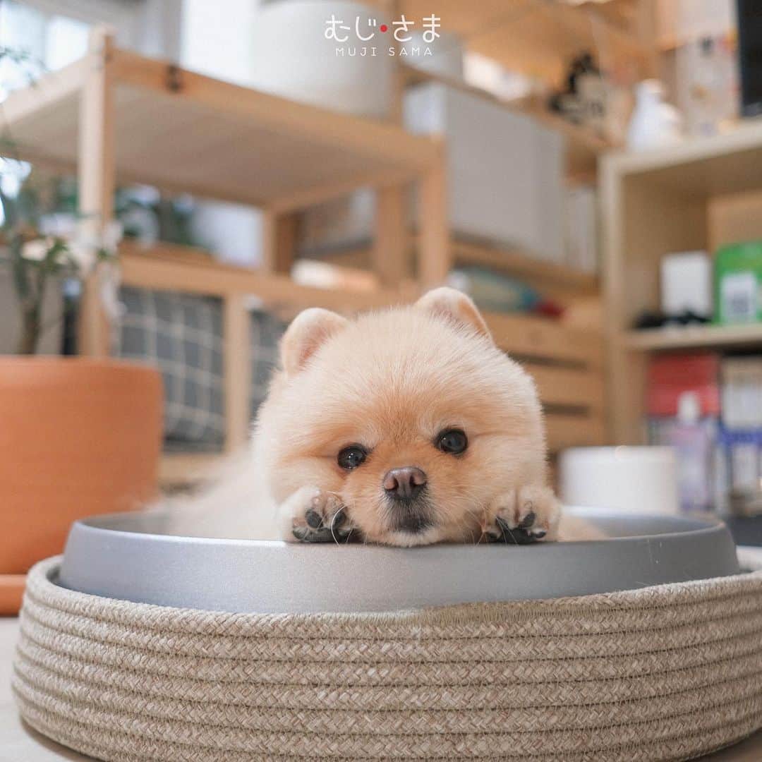 むじさまのインスタグラム