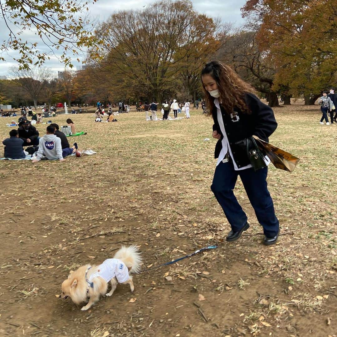 矢部ユウナさんのインスタグラム写真 - (矢部ユウナInstagram)「今日は公園でのんびり🐶🤍🍂 ドッグラン楽しかったねー！！！」11月23日 17時24分 - yunaaay1030