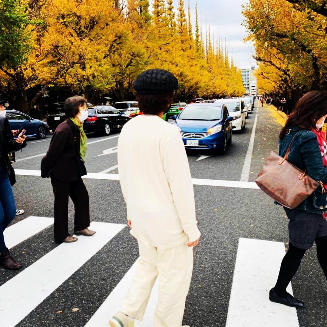 若林時英さんのインスタグラム写真 - (若林時英Instagram)「🍁  461個のおべんとう 観ていただけましたか？  まだ公開中ですよー。 観てない方は是非。  ビートルズのAbbey Roadに見えるでしょ。  #AbbeyRoad」11月23日 17時42分 - jiei_wakabayashi