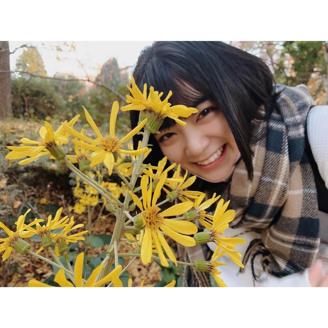 吉田美月喜のインスタグラム：「. #黄色の花 #のんびりと #秋散歩」