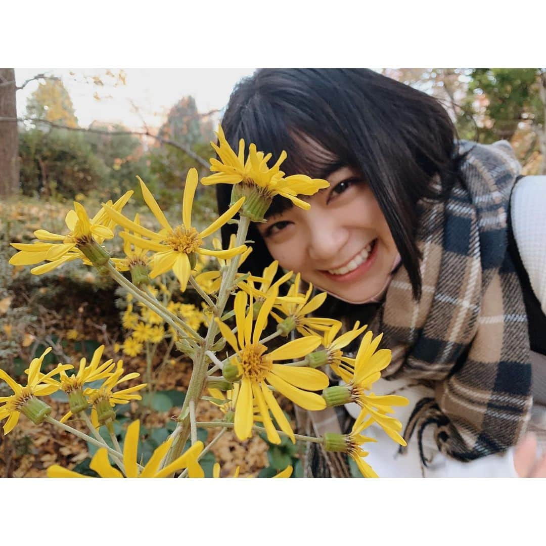 吉田美月喜さんのインスタグラム写真 - (吉田美月喜Instagram)「. #黄色の花 #のんびりと #秋散歩」11月23日 17時53分 - mizukiyoshida_official