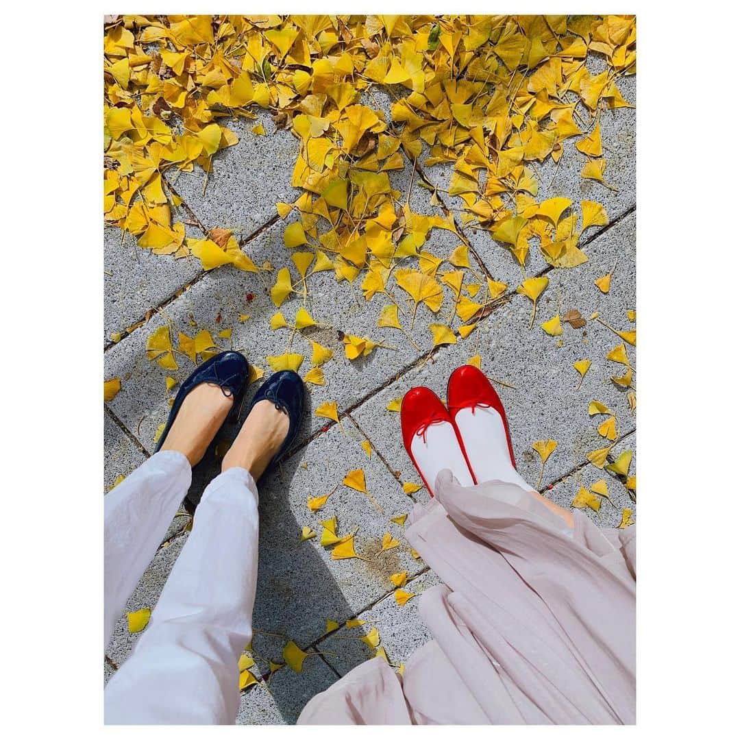 平山雅さんのインスタグラム写真 - (平山雅Instagram)「おさんぽ…💙💛❤️ 外歩くと季節の歩みを感じますねぇ。 #信号  #三連休最終日 #みなさんいかがお過ごしですか🙂  #平山雅」11月23日 17時53分 - miyabi_hirayama114