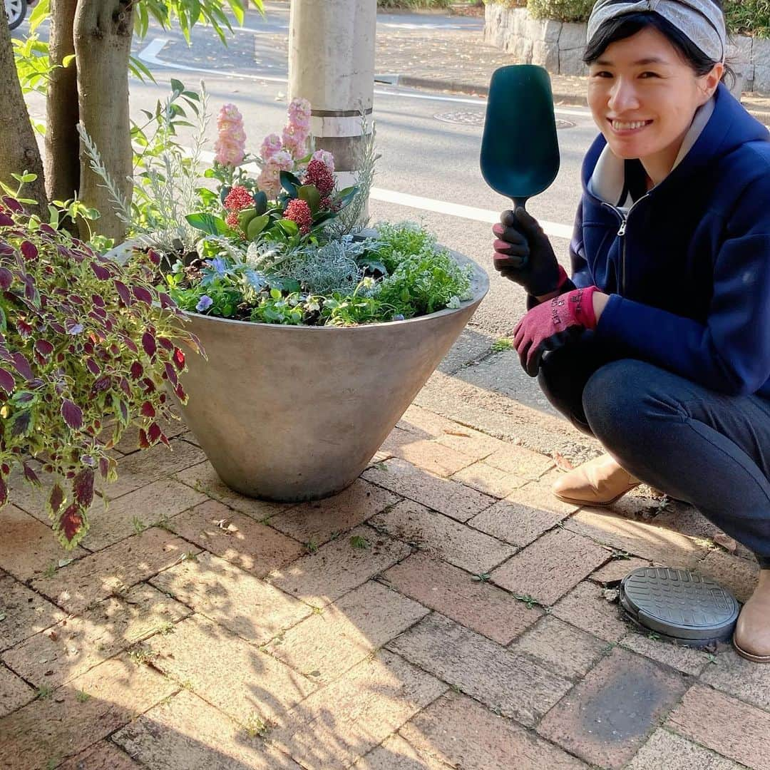 瓜生明希葉さんのインスタグラム写真 - (瓜生明希葉Instagram)「春のお花に植え替えました💐もうひとつの鉢は空いていますが今年こそラナンキュラスを待とう。いっきに埋めてしまわないほうが花屋さんを覗く楽しみが継続するなと去年学んだのでした🤓今年は徐々に増える作戦です✊  #花が好き #flowerstagram」11月23日 17時54分 - akiha_uryu