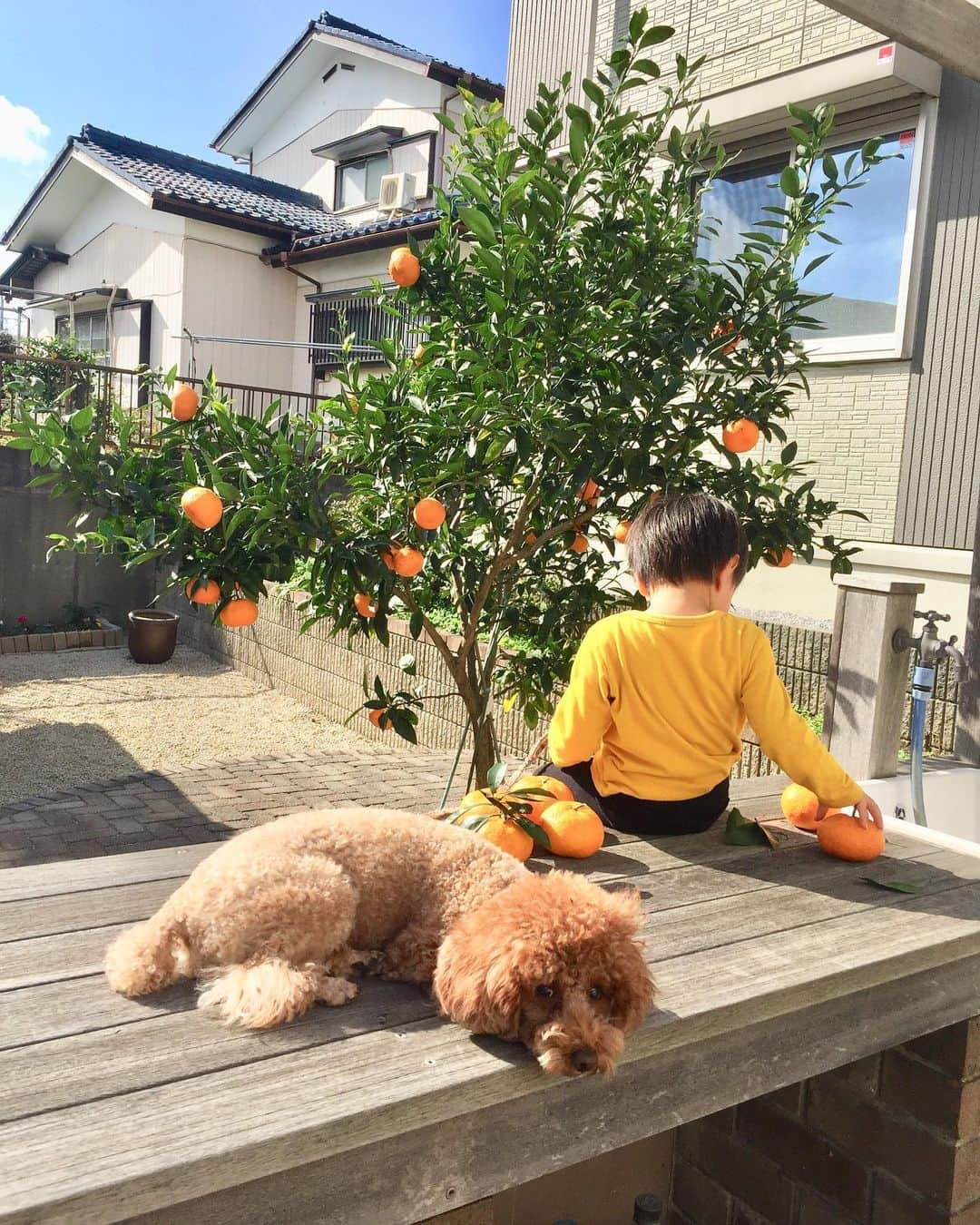 知念芽衣のインスタグラム