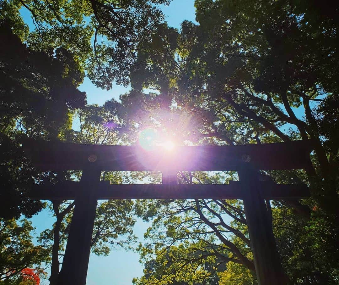 のインスタグラム：「明治神宮にて、鳥居と陽光。 #明治神宮 #鳥居 #陽の光 #tokyo #japan」
