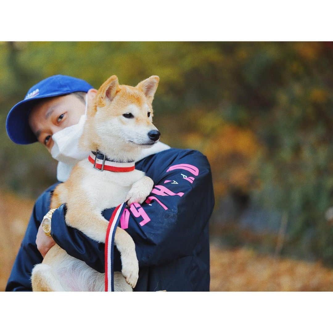 thequiettのインスタグラム：「@torry.storry 🐶」