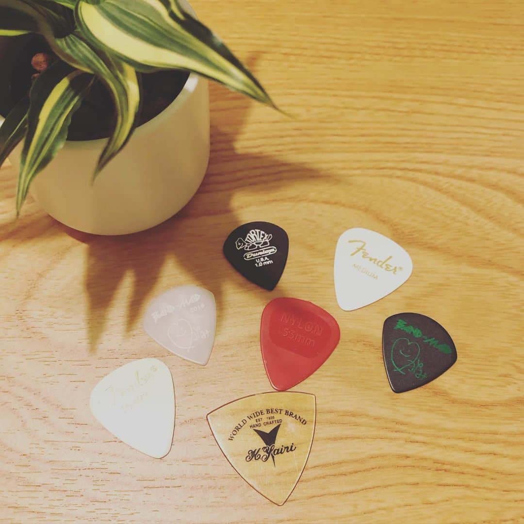 のインスタグラム：「レコーディングで使ったピックちゃん達です(*´꒳`*) . お疲れ様だったねぇ( ´∀｀) . さてさてラストスパート!! .  These guitar picks were used in the recording. .  Please look forward to the release of new album💕 .  #bandmaid #guitarpicks #guitargirl #guitarstagram #ピック #おすすめおしえてください」