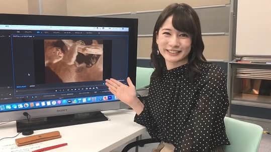 TBSアナウンサー公式のインスタグラム