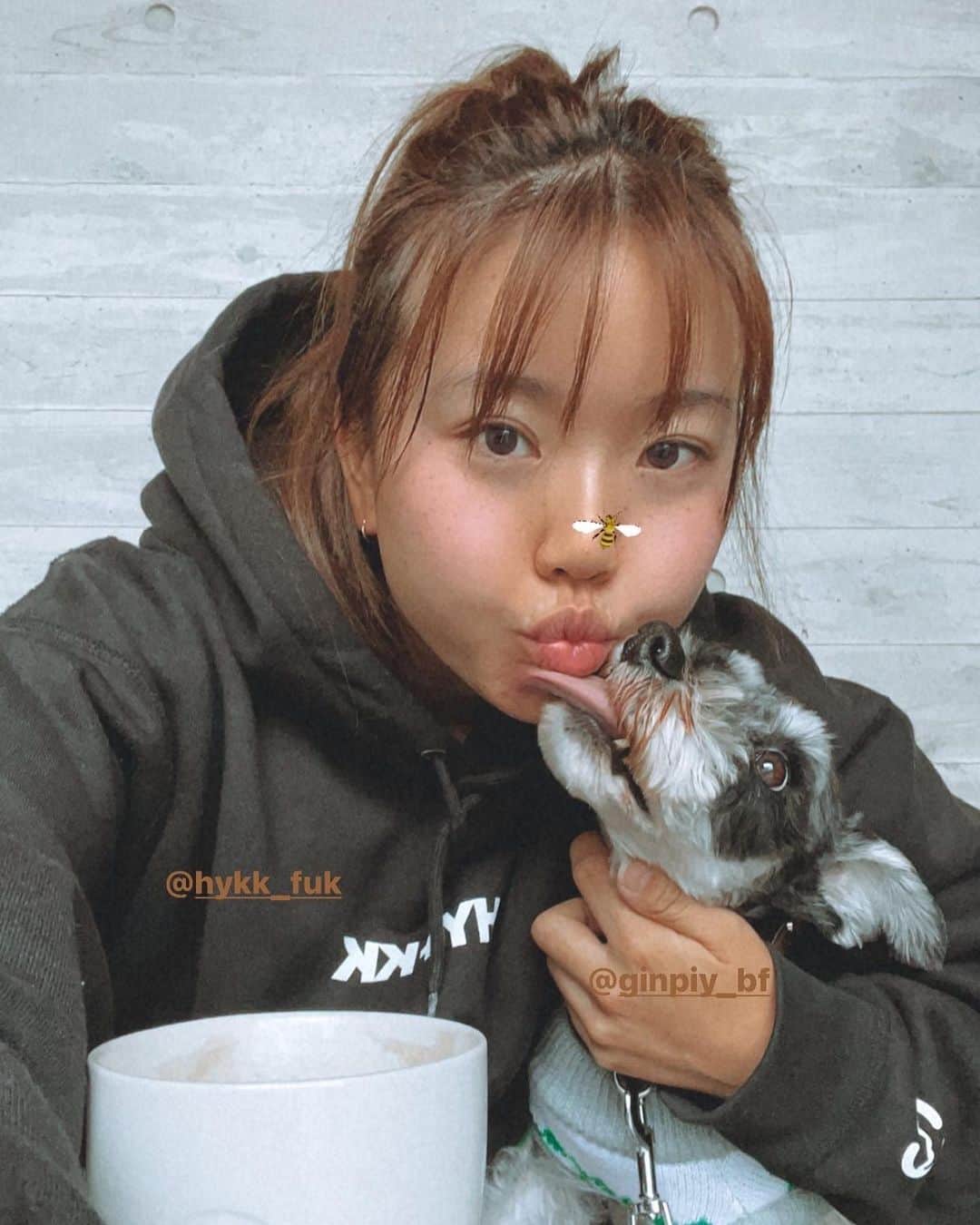 井上沙紀のインスタグラム：「朝から濃厚💋 忙しくても朝のお散歩は欠かさないよ😋 @ginpiy_bf   #モーニングルーティン #おさんぽ #💋 #ミニチュアシュナウザー #ぎんじろう」