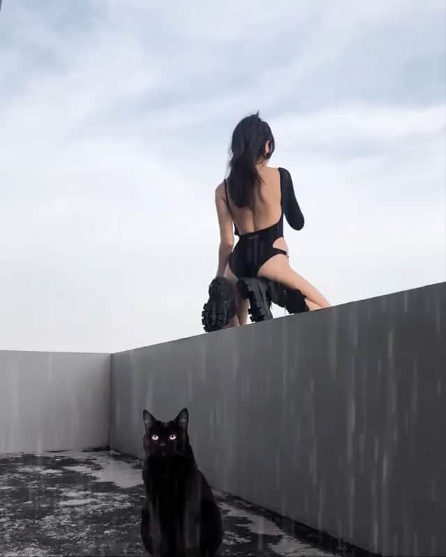 のインスタグラム：「#Repost @luckysevenb ・・・ 🌙 Luna D cat photobomb 💣 💥 @ponystone_official @ponystone   #ponystone」