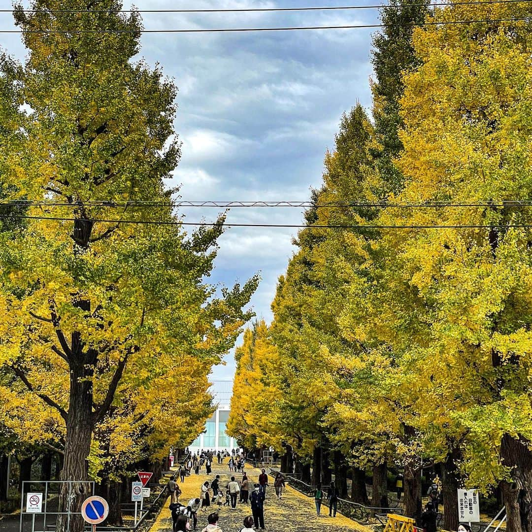 小柳津林太郎さんのインスタグラム写真 - (小柳津林太郎Instagram)「I ran. Visited my university! Felt autumn.   三連休最後は仲間とラン。珍しくも懐かしくも、日吉にある母校にいってきました。銀杏並木も健在。日吉記念館はびっくりするほど立派にリニューアルされていました。  今日は走って、街と大学を散策して、走って、風呂入ってサウナ✖︎水風呂、岩盤浴して、明日から仕事頑張るための英気を養えました、感謝！  #ランニング #散策 #東急東横線 #日吉 #母校 #慶應義塾大学 #銀杏並木 #run #adventure #hiyoshi #keio #rinstagram #staygold」11月23日 18時53分 - rinsta_gram1002