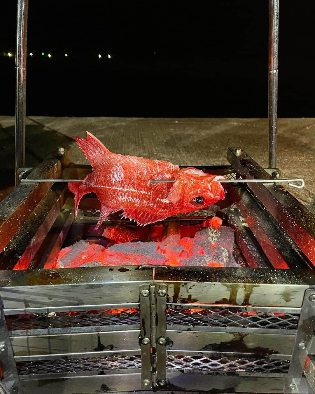 本多洸亮のインスタグラム：「夜は長いです😂 魚釣りの時間がすごく幸せ✨ 雨風でテントが暴れていますw  #奄美大島 #奄美camp #キャンプ飯 #魚の丸焼き #テント生活 #沖堤防で食事にこだわる」