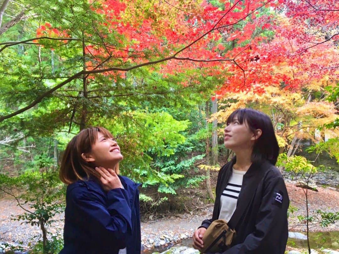 のインスタグラム：「見頃ですね🍁🍂🍃  #nagasaki #tsushima #紅葉 #対馬 #長崎」