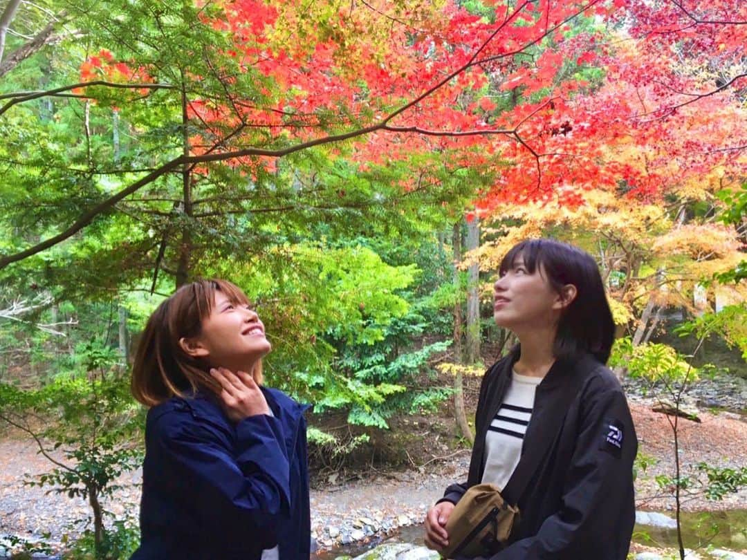 秋丸美帆さんのインスタグラム写真 - (秋丸美帆Instagram)「見頃ですね🍁🍂🍃  #nagasaki #tsushima #紅葉 #対馬 #長崎」11月23日 18時54分 - mippy34