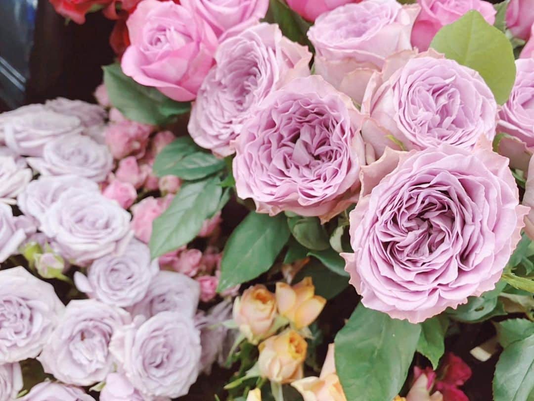 Yuka Kaedeさんのインスタグラム写真 - (Yuka KaedeInstagram)「Love Roses♡ . . リッツ納品の帰りにいつものお花屋さんへ♪ @atelierkyodoyabashi  いつ行っても薔薇盛り盛り♡(^^) 今日も数種類の薔薇をGET!!  淀屋橋にあるので、帰りに 大阪市役所横のイルミネーションを通って帰りました。 . . #beautifulroses#roselover」11月23日 18時56分 - _asyuka_