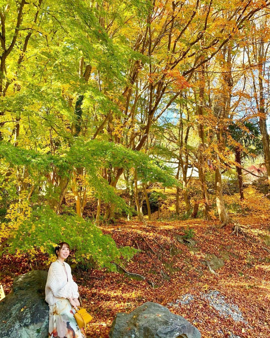 島川未有さんのインスタグラム写真 - (島川未有Instagram)「大山寺、私の中でイチオシの徳島の紅葉スポット🍁です(と言っても例年この時期忙しくて徳島で紅葉狩りってここ数年した記憶ない) こぢんまりしてて、京都の嵐山や清水寺みたいな、華やかさや迫力はないけど、人が少なくて静かで素朴で 、何だか雰囲気が尊いんです、とても。秘境、パワースポット。  #ゴジカル#四国放送#四国放送ラジオ#radiko#アナウンサー#徳島観光#徳島##徳島秘境#徳島旅行#セリーヌバッグ#celine#amerivintage #別格霊場##大山寺の紅葉#大山寺#徳島紅葉#gostoftsushima #ゴーストオブツシマ#tokushima_photo#徳島#follow#like4like #fff #tagsforlikes #tflers #instafollow」11月23日 18時58分 - miyu_shimakawa