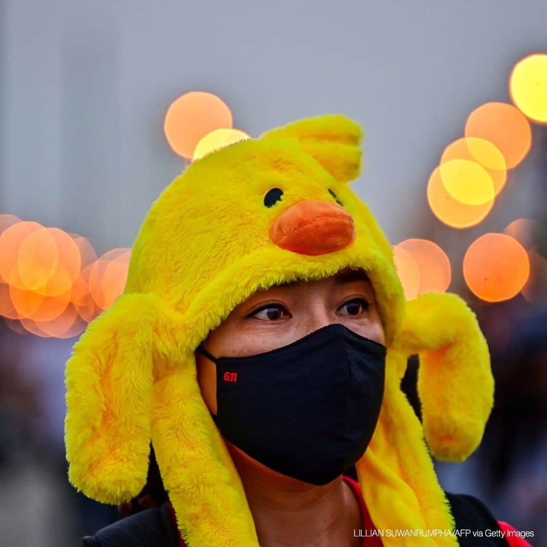 ABC Newsさんのインスタグラム写真 - (ABC NewsInstagram)「A pro-democracy protester wears a hat in the shape of a yellow rubber duck, which has become a recent symbol for the ongoing protests, during an anti-government rally in Bangkok on November 22, 2020. #thailand #protest #rubberduck」11月23日 19時00分 - abcnews