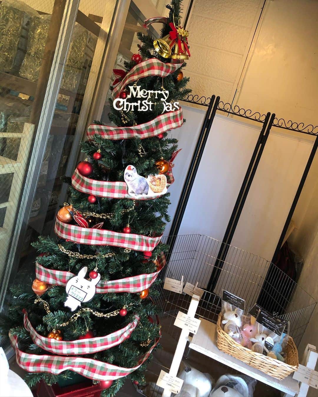 MaRi.Kのインスタグラム：「ルーサンタ、今年もお仕事してたよ✨」