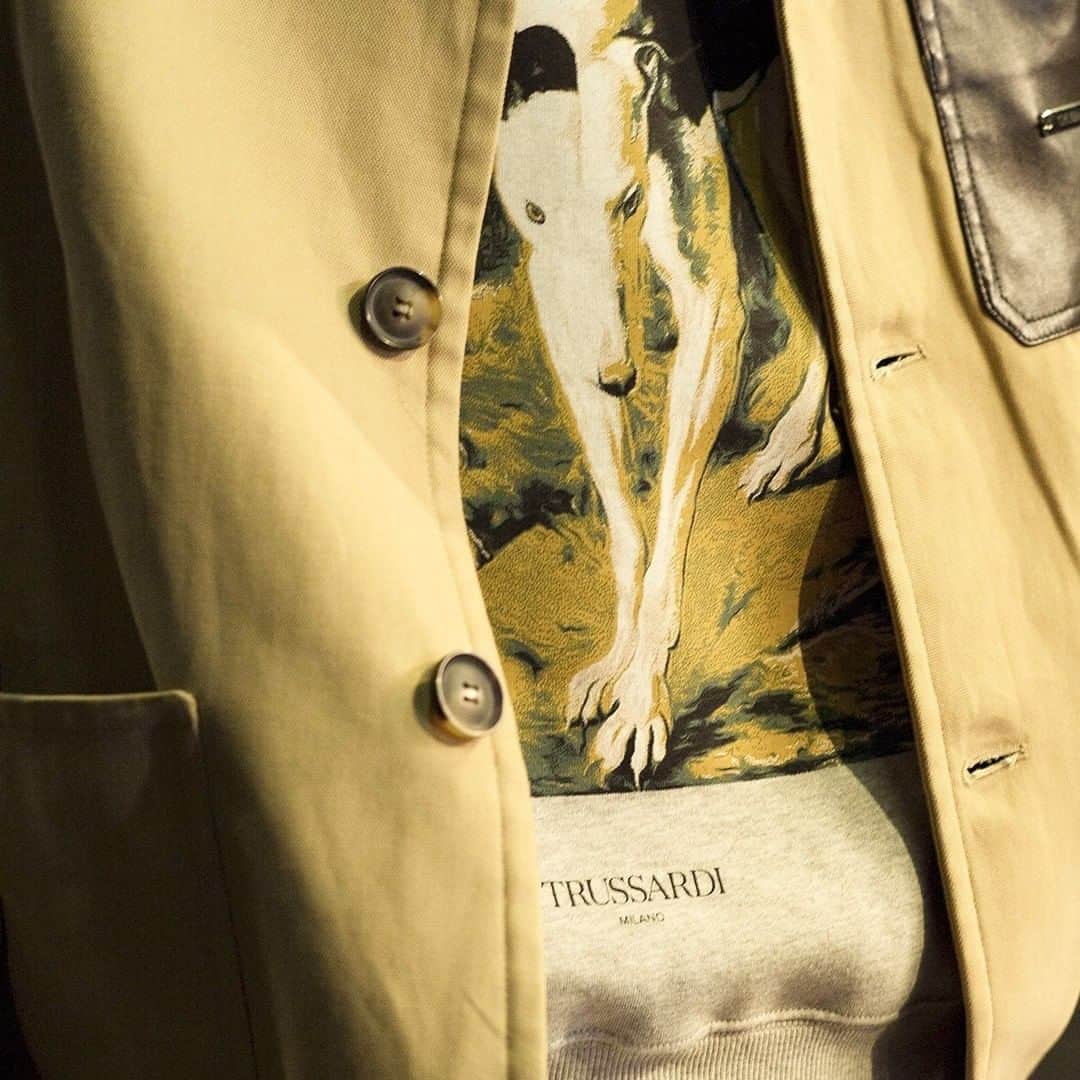 トラサルディさんのインスタグラム写真 - (トラサルディInstagram)「The greyhound takes center stage in Trussardi's new collection.   #GiorgioDiSalvoxTrussardi #Trussardi #Fall #Winter #fashionfilm #shortfilm #tshirt #jacket」11月23日 19時30分 - trussardi