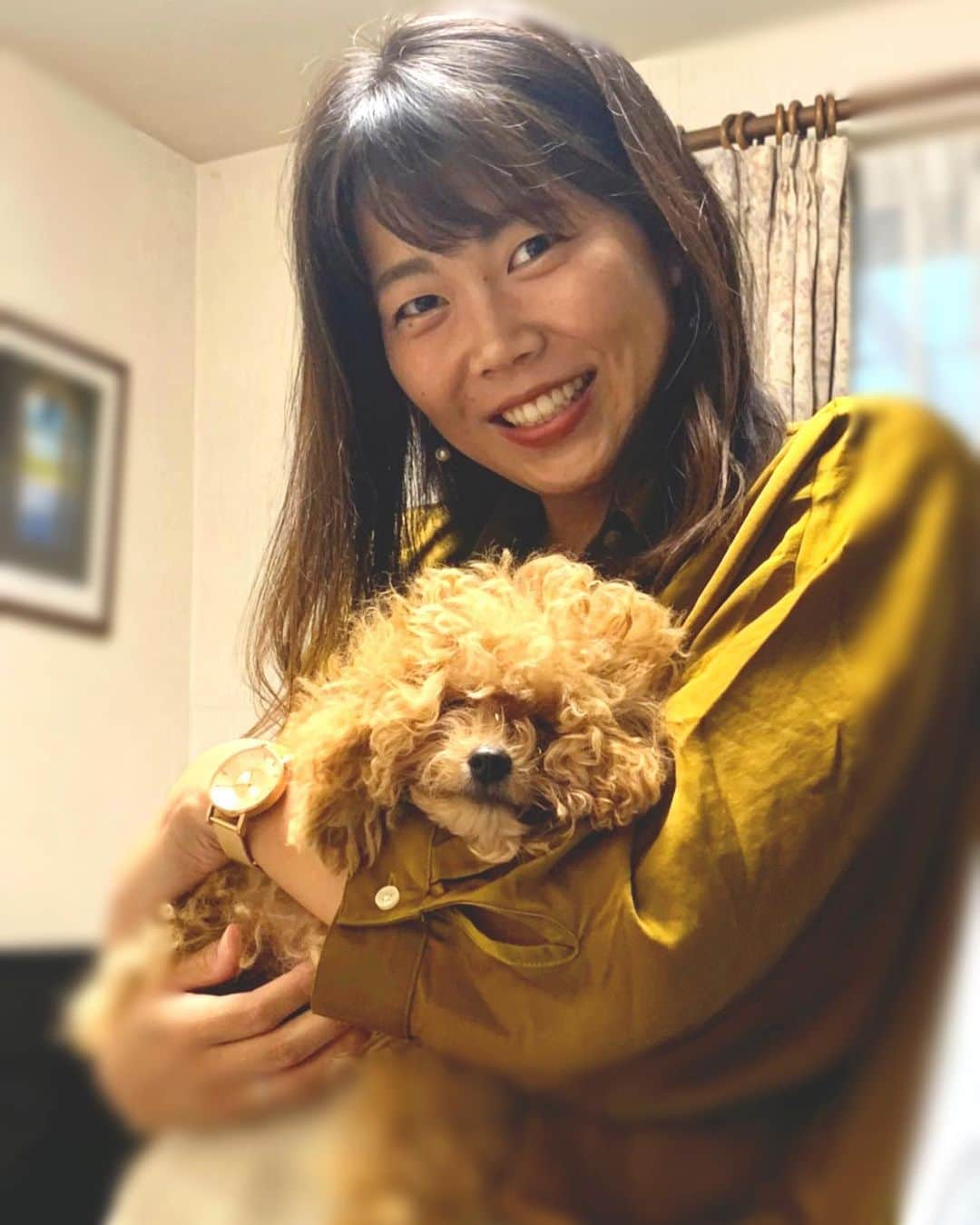 榎本遼香さんのインスタグラム写真 - (榎本遼香Instagram)「- After ⇄ Before 🐩💕  ようやくモップ犬からの卒業👏🏽  #初トリミング #トイプードル #いぬすたぐらむ #トイプードルのいる暮らし #飼い主のアホ毛も凄いて」11月23日 20時00分 - eno_mon