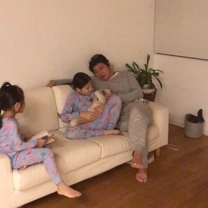 柴犬リリコのインスタグラム：「食後のリラックスタイム🧒🏻👧🏻🐶👨🏻」
