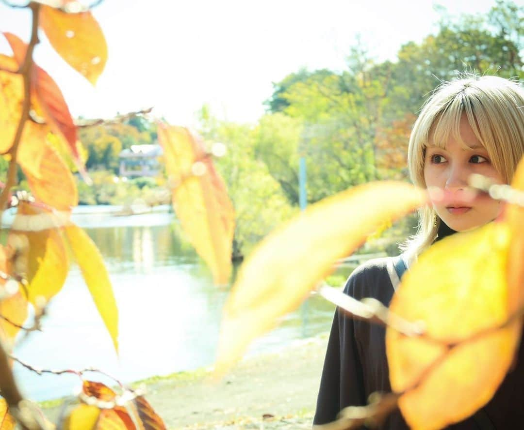 吉田有里さんのインスタグラム写真 - (吉田有里Instagram)「紅葉写真が続いています🍂 たまには衣装も更新しますね(予定)  文章書くより写真見て欲しくて なんかうまいことかけません〜笑笑  澄ました顔してますけど めっちゃ眩しいです  インスタ仕様が変わって使いにくいヨォ  #紅葉 #秋 #autumn」11月23日 20時15分 - yu_ri_ysd