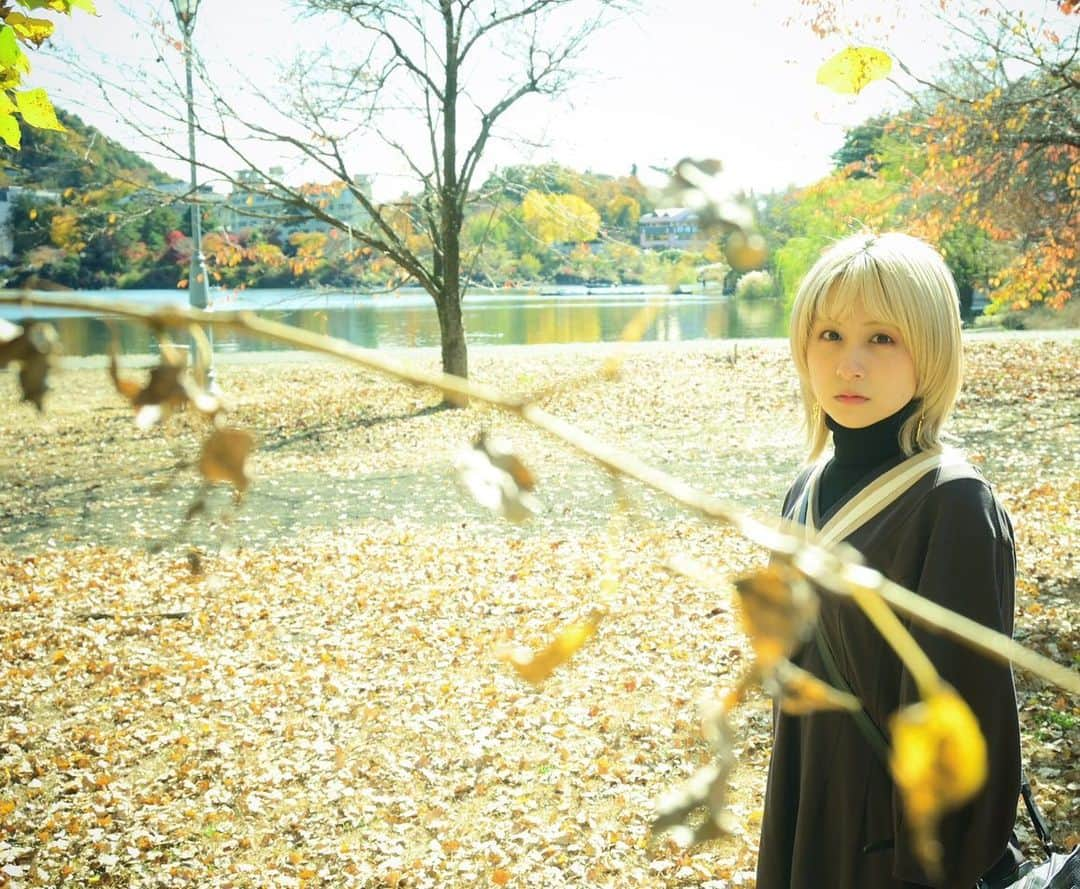 吉田有里さんのインスタグラム写真 - (吉田有里Instagram)「紅葉写真が続いています🍂 たまには衣装も更新しますね(予定)  文章書くより写真見て欲しくて なんかうまいことかけません〜笑笑  澄ました顔してますけど めっちゃ眩しいです  インスタ仕様が変わって使いにくいヨォ  #紅葉 #秋 #autumn」11月23日 20時15分 - yu_ri_ysd