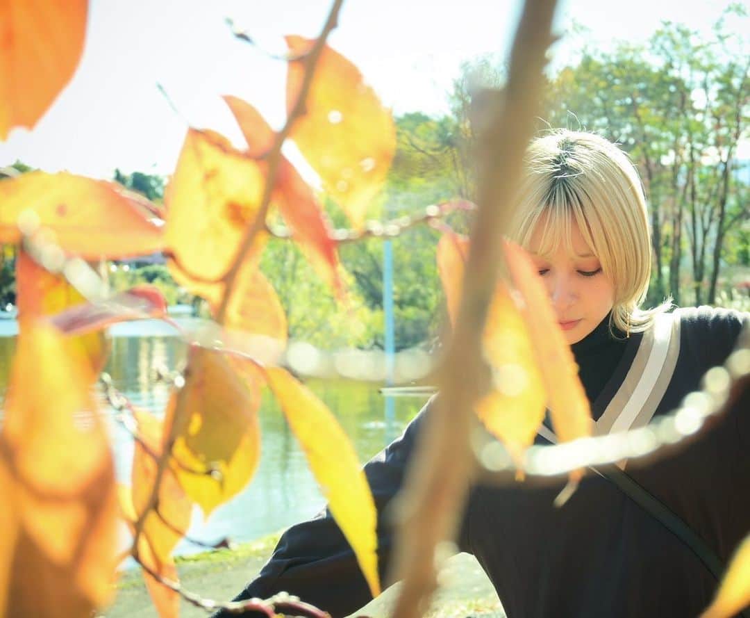 吉田有里のインスタグラム：「紅葉写真が続いています🍂 たまには衣装も更新しますね(予定)  文章書くより写真見て欲しくて なんかうまいことかけません〜笑笑  澄ました顔してますけど めっちゃ眩しいです  インスタ仕様が変わって使いにくいヨォ  #紅葉 #秋 #autumn」