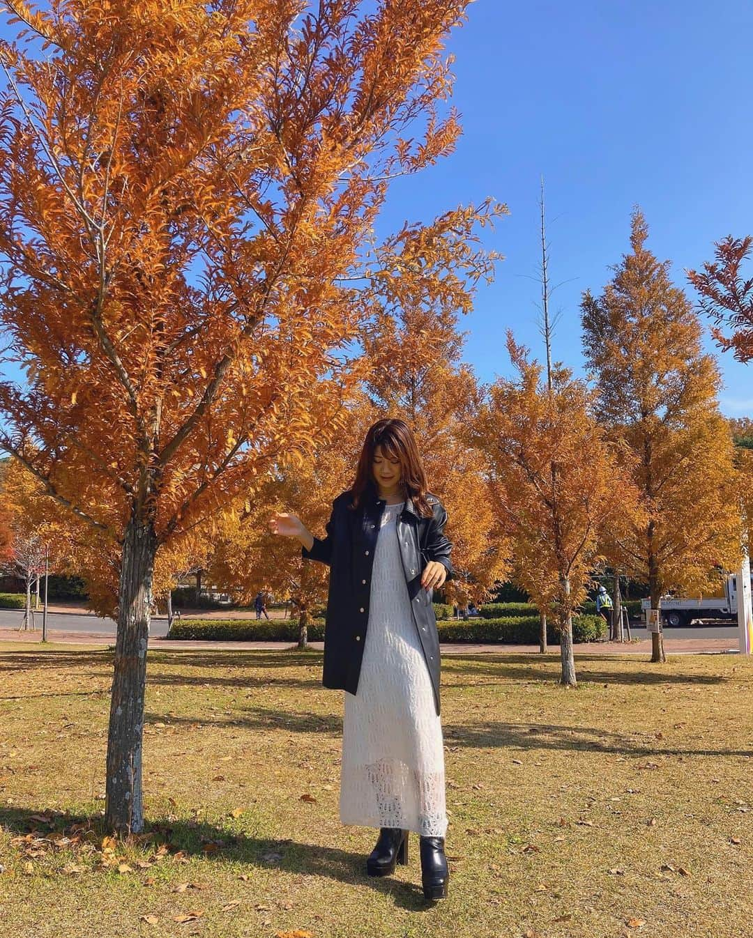 海江田麻貴さんのインスタグラム写真 - (海江田麻貴Instagram)「ㅤㅤㅤㅤㅤㅤㅤㅤ  ㅤㅤㅤㅤㅤㅤㅤㅤ autumn vibes🍂🍁♥️  ㅤㅤㅤㅤㅤㅤㅤㅤ 見頃に紅葉見れたから今年は良い年😋さいこっ👌 ㅤㅤㅤㅤㅤㅤㅤㅤ 全身はしゃがんで下から撮ってもらったら背高く顔ちっちゃく見えるよ〜カメラマン流石や〜🥰ありがと📸♥️ ㅤㅤㅤㅤㅤㅤㅤㅤ  ㅤㅤㅤㅤㅤㅤㅤㅤ  ㅤㅤㅤㅤㅤㅤㅤㅤ  #zara #mercuryduo #ザラジョ #ザラジョコーデ #leatherjacket #leather #モノトーンコーデ #ニットワンピース #autumnmood #autumncolors #autumnleaves #autumnleaves🍂 #autumnleaves🍁 #autumnlover #autumnvibes🍁 #autumnview #ニジゲンノモリ #淡路島 #awaji #awajishima #紅葉狩り #紅葉🍁 #銀杏 #いちょう並木 #銀杏並木 #イチョウ #gingko #gingkotree #naturephotography #japanesegirl」11月23日 20時21分 - _makiii0924_