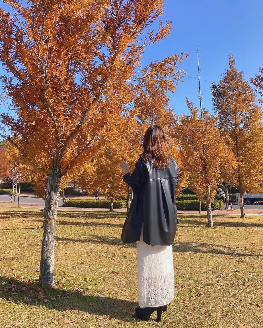 海江田麻貴さんのインスタグラム写真 - (海江田麻貴Instagram)「ㅤㅤㅤㅤㅤㅤㅤㅤ  ㅤㅤㅤㅤㅤㅤㅤㅤ autumn vibes🍂🍁♥️  ㅤㅤㅤㅤㅤㅤㅤㅤ 見頃に紅葉見れたから今年は良い年😋さいこっ👌 ㅤㅤㅤㅤㅤㅤㅤㅤ 全身はしゃがんで下から撮ってもらったら背高く顔ちっちゃく見えるよ〜カメラマン流石や〜🥰ありがと📸♥️ ㅤㅤㅤㅤㅤㅤㅤㅤ  ㅤㅤㅤㅤㅤㅤㅤㅤ  ㅤㅤㅤㅤㅤㅤㅤㅤ  #zara #mercuryduo #ザラジョ #ザラジョコーデ #leatherjacket #leather #モノトーンコーデ #ニットワンピース #autumnmood #autumncolors #autumnleaves #autumnleaves🍂 #autumnleaves🍁 #autumnlover #autumnvibes🍁 #autumnview #ニジゲンノモリ #淡路島 #awaji #awajishima #紅葉狩り #紅葉🍁 #銀杏 #いちょう並木 #銀杏並木 #イチョウ #gingko #gingkotree #naturephotography #japanesegirl」11月23日 20時21分 - _makiii0924_