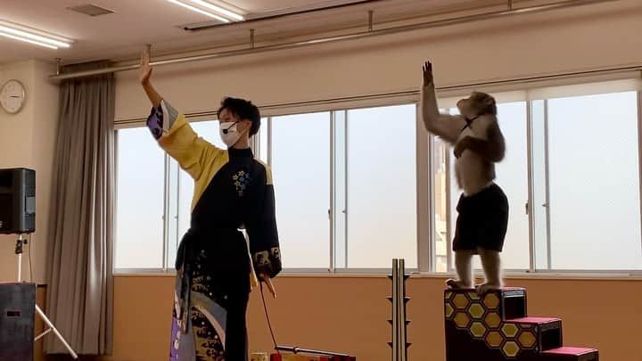 【公式】福岡ECO動物海洋専門学校のインスタグラム：「【日本伝統芸能猿まわし】 昨日と今日のオープンキャンパスでは 福岡ECO卒業生たちによるモンキーパフォーマンスを開催🐵✨  とっても可愛くて面白い‼️ さらに圧巻の大技まで⭐️  最後には卒業生と先生からの 熱いメッセージに 思わず涙する場面も🥺  笑いあり、感動ありの 素敵なステージをありがとうございました！🐵🧡  #福岡eco動物海洋専門学校  #福岡eco  #モンキーパフォーマンス  #アニマルトレーナー  #動物との絆  #感動  #夢を叶える  #卒業生  #猿まわし  #日本伝統芸能 #ニホンザル  #神戸モンキーズ #二助企画」
