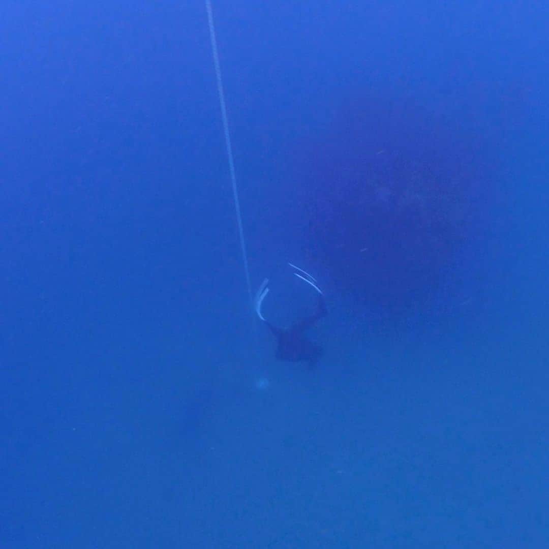 土屋アンナさんのインスタグラム写真 - (土屋アンナInstagram)「FREEDIVING練習💪❣️ 海のコンディション最高🏖 まだまだ水温21℃潜れますよ❣️ おNEWのウェットが届きました 3ミリでもGULLのFREEDIVING用のウェットは暖かい❤️ 写真は先生の恵さんと🤩💋💕  @gull_diving1955 @bigblue_tokyo」11月23日 20時47分 - annatsuchiya0311