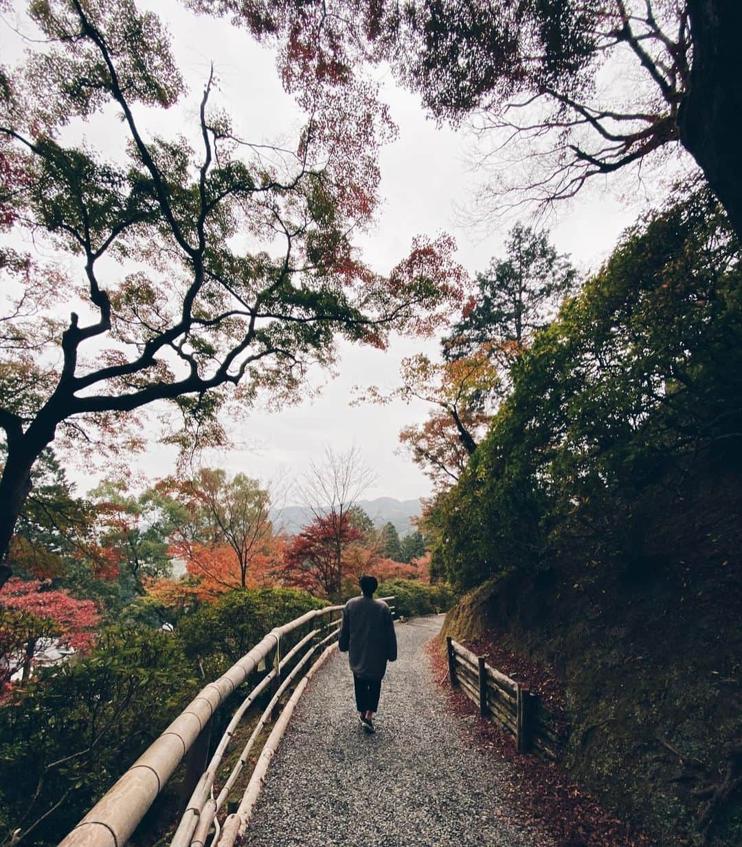 金森健志さんのインスタグラム写真 - (金森健志Instagram)「🍁🍁🍁  今年もあと少し 頑張りまっしょーう！！！  #もうすぐ冬なのに暑いのはなぜ」11月23日 21時08分 - takechan0404