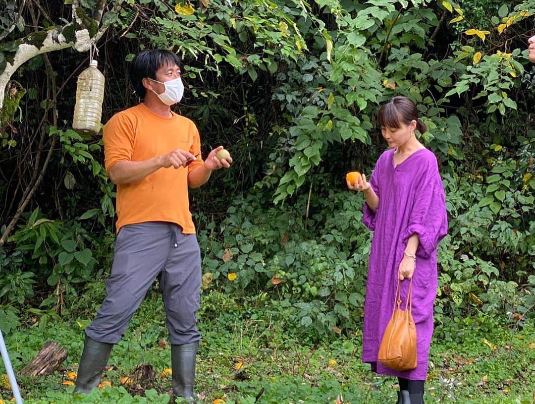 青山有紀さんのインスタグラム写真 - (青山有紀Instagram)「高知県にて、無農薬フィンガーライムを収穫させていただきました。割ってそのまま食べてみると、美味しい！！！ 100年の樹のゆこう（柑橘）も見せていただきました。木が高すぎて収穫できないそうですが落ちてるの味見したら美味しかったな🧡」11月23日 21時09分 - yukiaoya