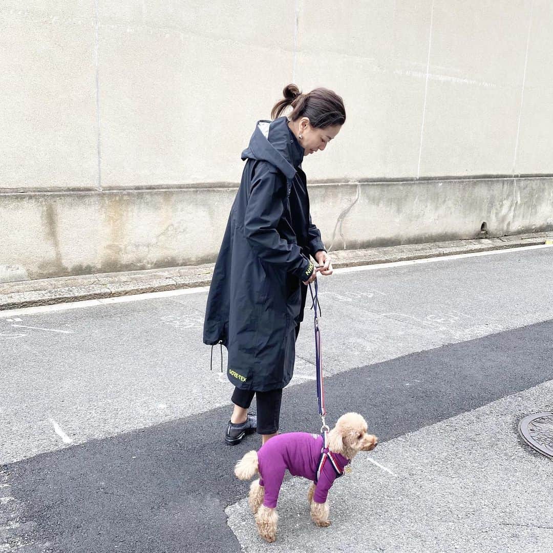 keikobun34のインスタグラム