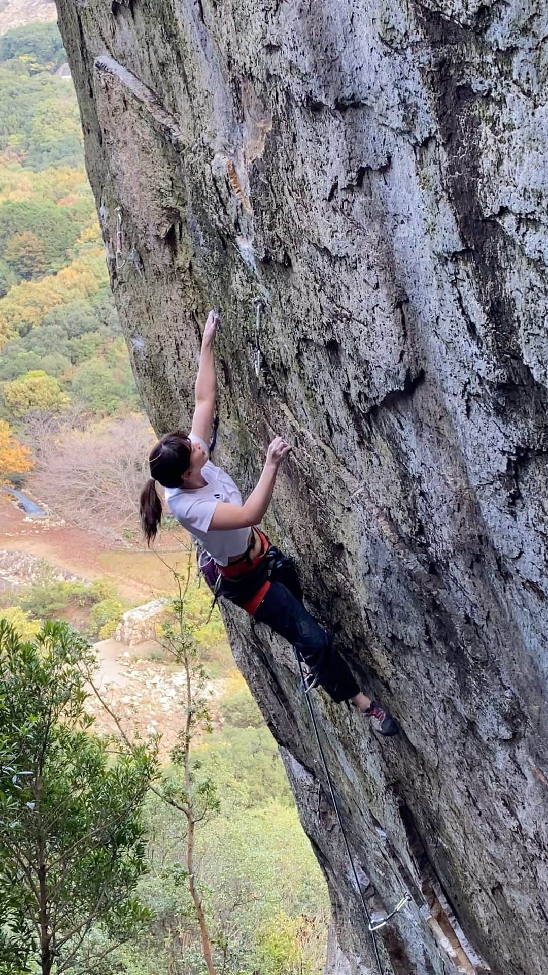 のインスタグラム：「小豆島　吉田の岩場にある、平山ユージ初登のルート。5.13a」