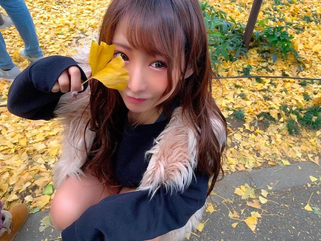 みにーさんのインスタグラム写真 - (みにーInstagram)「. 綺麗な景色が見たいと思う 歳になってきた🥰 #神宮外苑いちょう並木 #いちょう　#バーレスク　#バーレスク東京　#ootd」11月23日 21時28分 - minnie_burlesqe