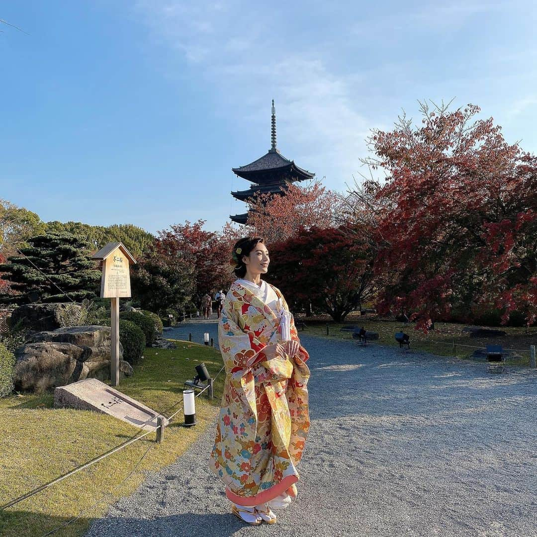 秋山未有さんのインスタグラム写真 - (秋山未有Instagram)「京都での和装花嫁ロケ🕊② お天気であったかくてロケ日和でした〜  ありがとうございました！！ @takamibridal_wakon @takamibridal_costume @tokyokaikan_wedding   #和装花嫁 #和装結婚式 #打掛 #色打掛 #和装ヘア #和装前撮り #前撮りヘア #ロケ撮影 #ブライダルヘア #ブライダルモデル #生花アレンジ #生花ヘアアレンジ #色打掛ヘア #ロケ日和 #京都ウェディング #京都ロケ」11月23日 21時39分 - miyu_akiyama