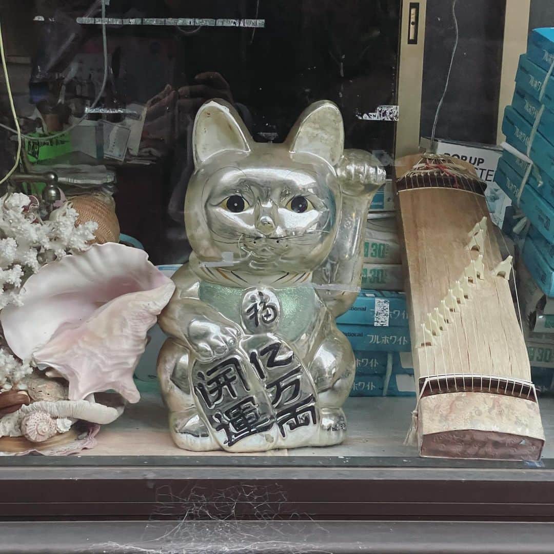 奇妙礼太郎さんのインスタグラム写真 - (奇妙礼太郎Instagram)「#招き猫 #商売繁盛 #千客万来 #こわい」11月23日 21時47分 - reitaro_strange
