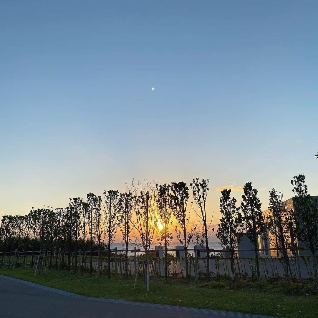 山内遥のグルメインスタ