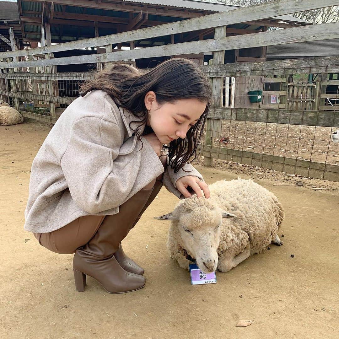 のインスタグラム：「. . 連休最終日は牧場🐄🐏  みなさんご存知の通り、よく牧場行ってるのだけど ここは気に入ってて行くのは2回目！  千葉県にある　#成田ゆめ牧場  です。 ハッシュタグ見るとひまわりの写真多いけど ひまわりは一度も見に行ったことない😂😂  ここは乳搾りできて、牛舎にも入れて 羊と山羊がとにかくたくさんいる（笑）  羊と山羊にはみんな名前がついてて 推しを見つけられるよ！笑 乗馬も釣り堀もできるしペットも連れて行けるから 犬飼ってる人は特にいいかも！  私の牧場ストーリーによく質問をいただくので 書いてみました✏️牧場たのしいよ〜 _」