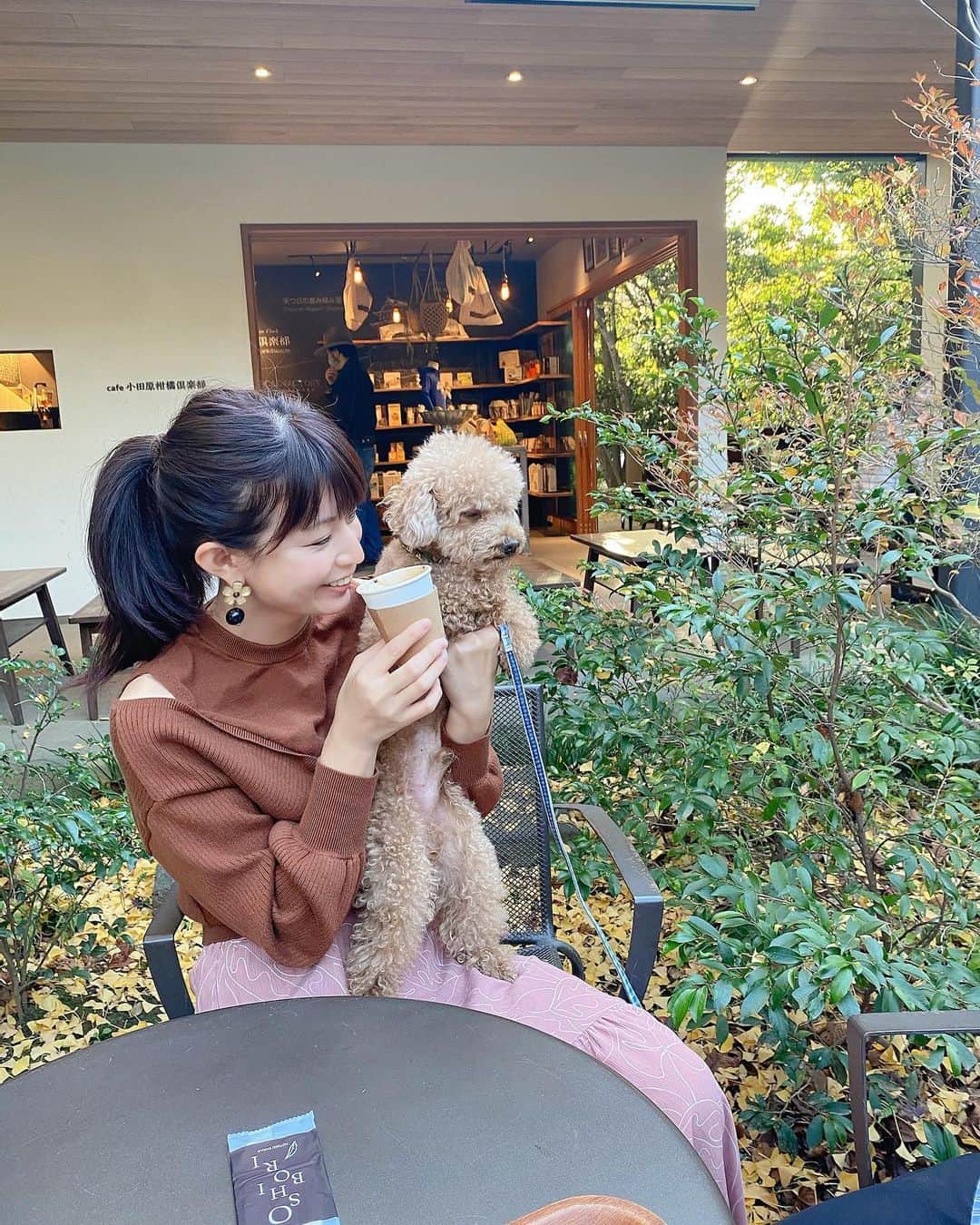 熱田久美のインスタグラム：「週末のpic🐶🤍 みんなでカフェも楽しいなー！ ・ #toypoodle #トイプードル #わんこ #テラス席 #犬ok #カフェ #癒しわんこ #小田原カフェ #神奈川カフェ #紅葉」