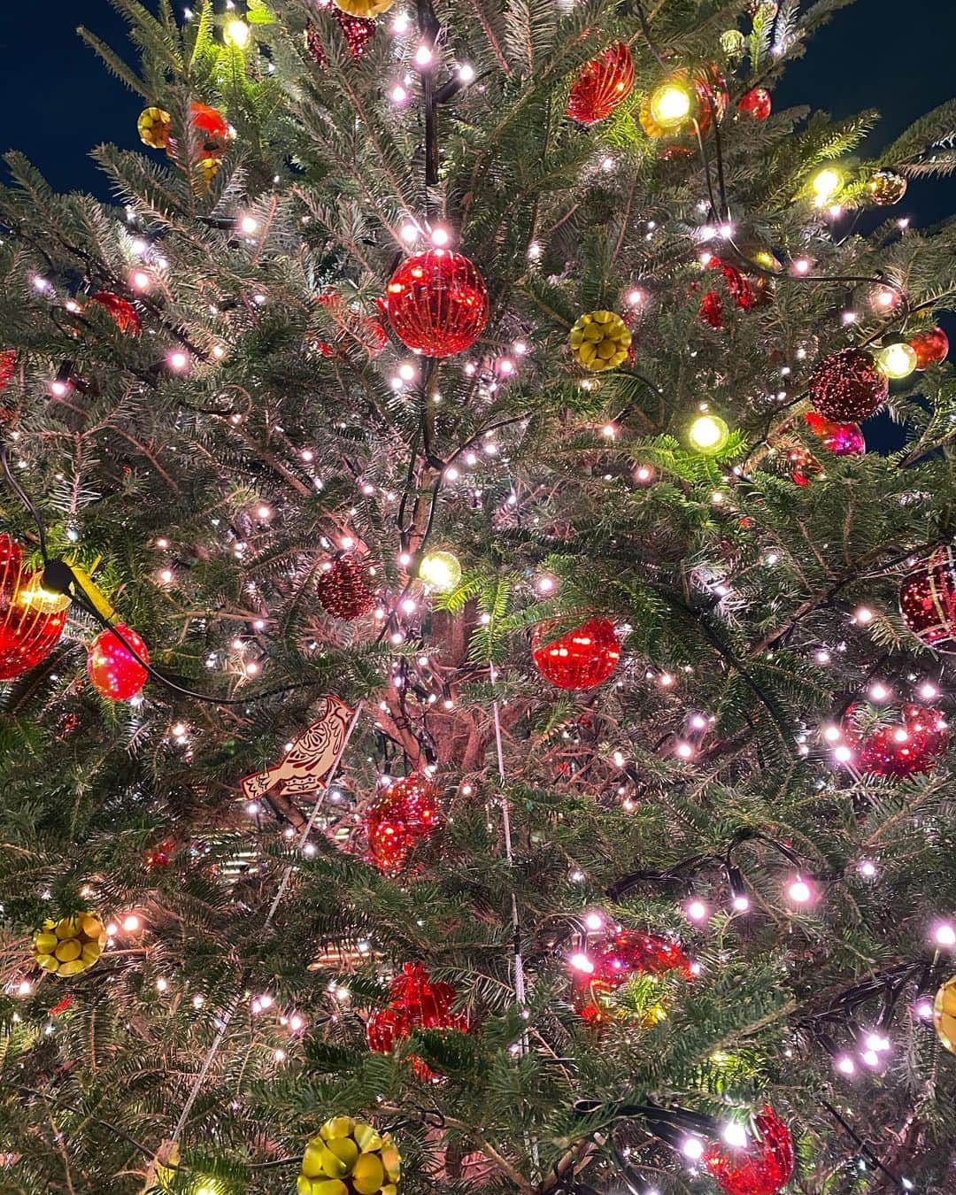 恵里花のインスタグラム：「It’s beggining to look a lot like Christmas🎄🎵﻿」
