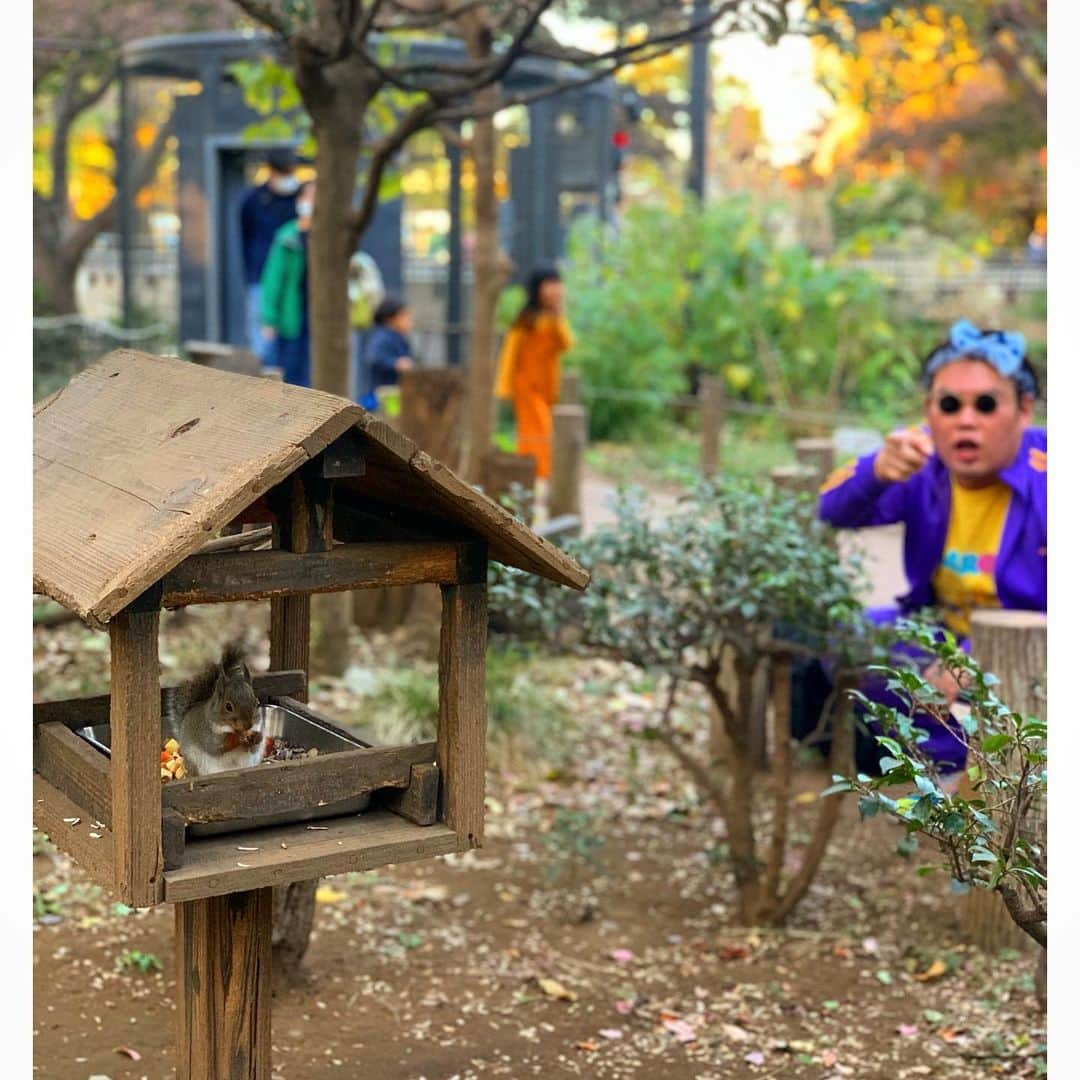 城戸勇一のインスタグラム：「題名のない写真 #吉祥寺 #井の頭公園 #リスの小道 #にいるはずのない #見てはいけないものを見てしまった #オレンジ色の服着た少女 #すぐに親に報告 #xlarge  #널디 #nerdy #ノルディ #海賊 #chill #love #photooftheday #japan #likeforlikes  #좋아요반사 #데일리룩  #오오티디룩  #옷스타그램 #ストリート #カラフルコーデ #パープルコーデ #ジャージコーデ #パステルコーデ #お洒落さんと繋がりたい #服好きな人と繋がりたい  #きれいになりたい #水原希子」