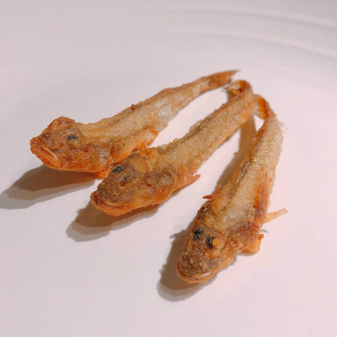 ヨーコのインスタグラム