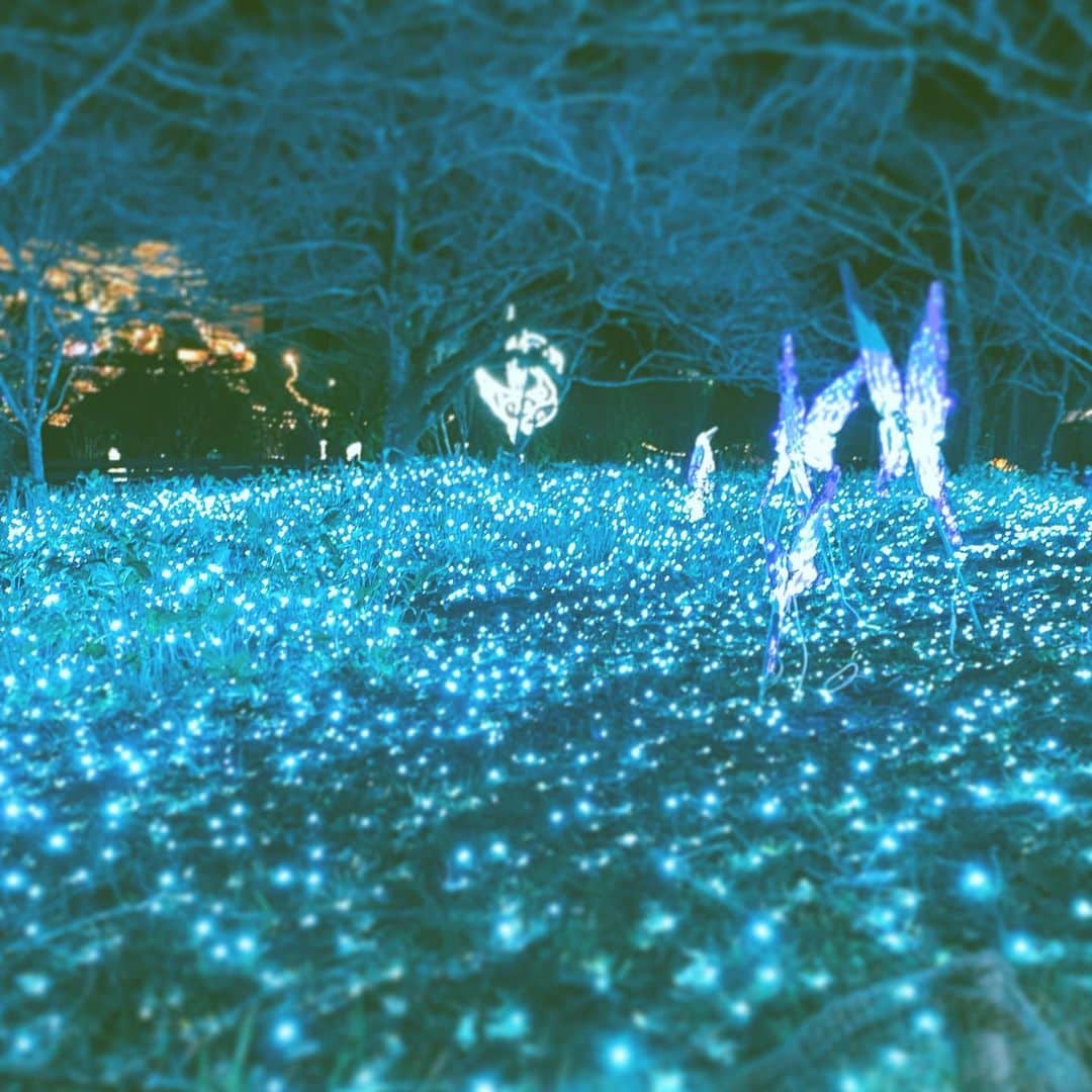 中野敬久さんのインスタグラム写真 - (中野敬久Instagram)「#night #illumination #lights #hope #suburb」11月24日 8時14分 - hirohisanakano