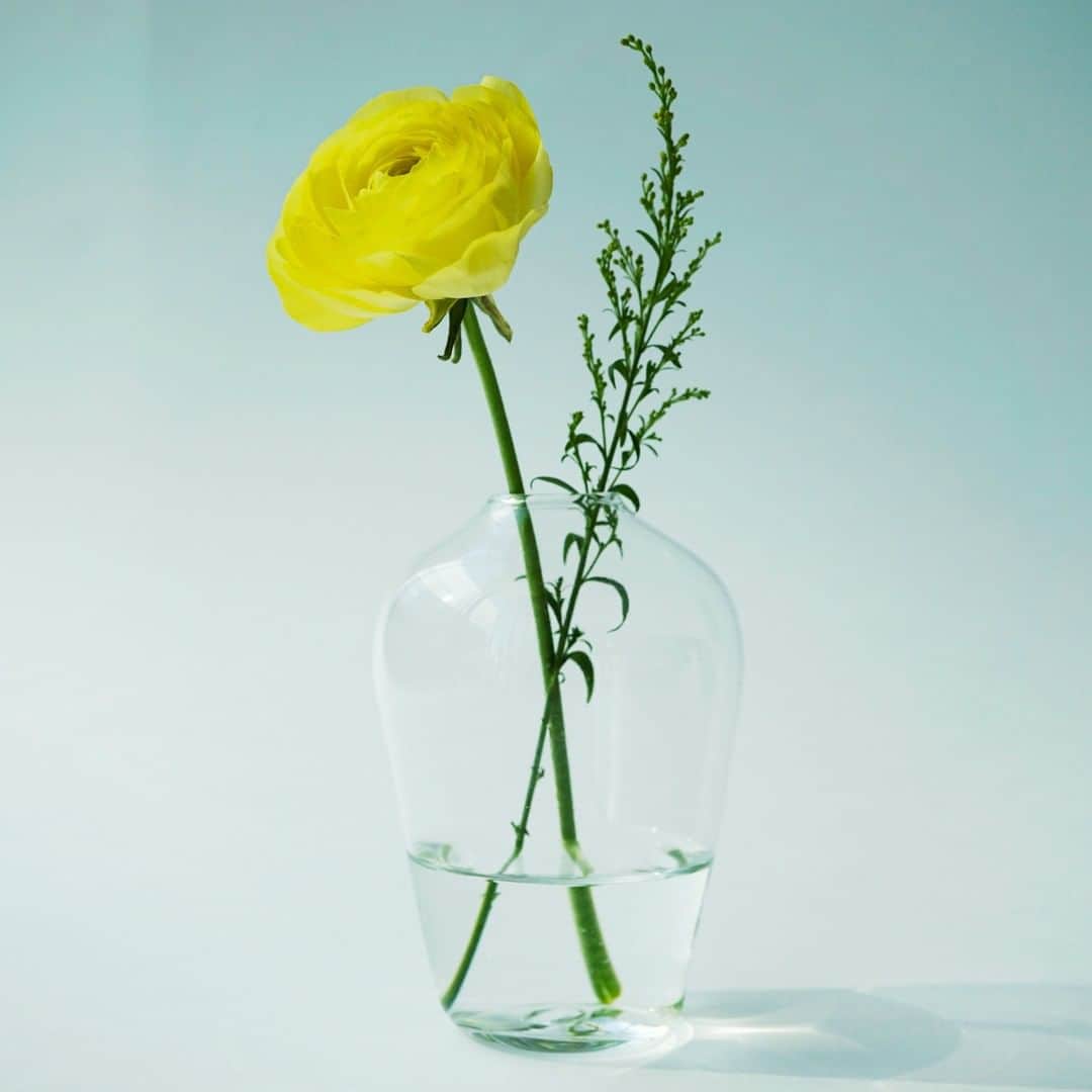 SPURさんのインスタグラム写真 - (SPURInstagram)「黄色のラナンキュラスを、艸田正樹さんの花器に。 うつわの透明感と、美しい花弁のレイヤーとのコントラストを楽しんでいます。   #SPURFlower #SPUR編集G #ラナンキュラス #SPURうつわ #艸田正樹 #SPUR #一輪挿し #花のある暮らし #花のある生活 #花と暮らす #花瓶 #うつわのある暮らし」11月24日 9時00分 - spurmagazine