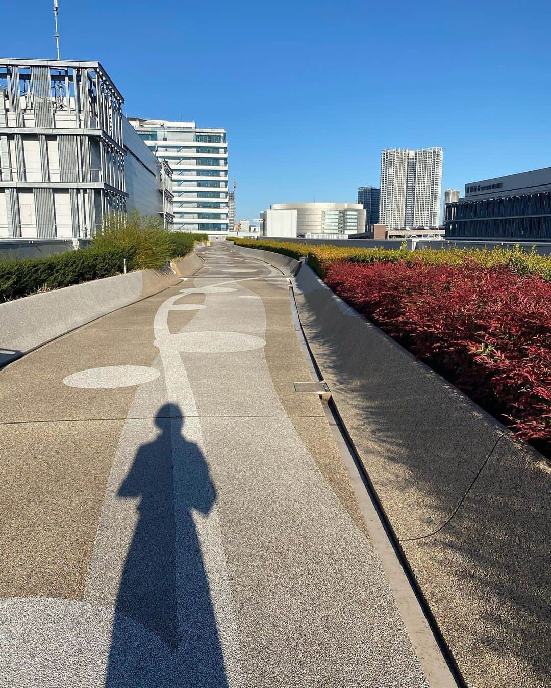 鈴木淳子さんのインスタグラム写真 - (鈴木淳子Instagram)「🍁❤️How’s your weekend? のびのびお天気な週末 @lokitho_tokyo のワンピースを やっとゆったり着れた日。 ふと気が付けば 平日にワンピース着なくなってる。。。 . . . #pixel5 #teampixel」11月24日 0時12分 - junkosuzuki
