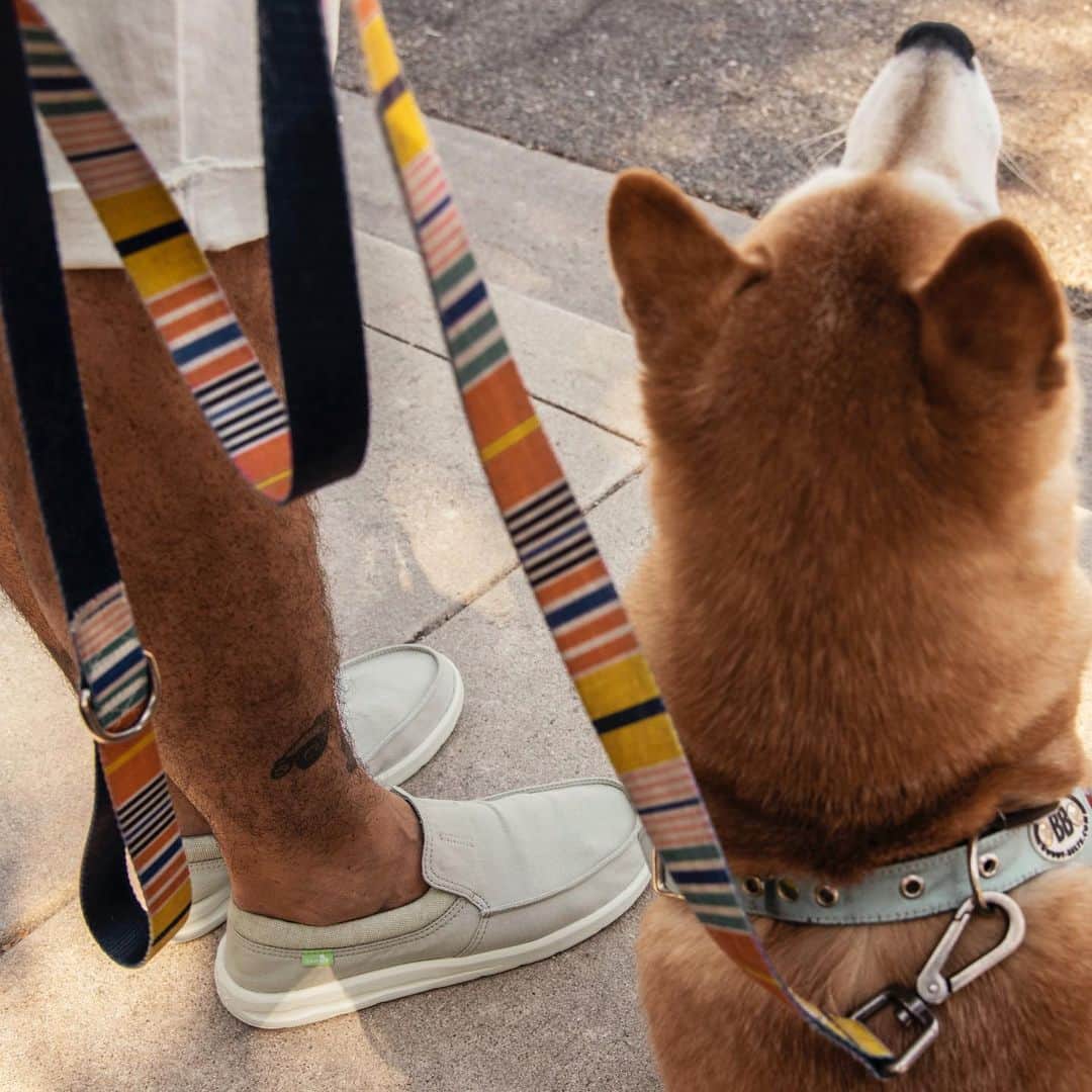 サヌークのインスタグラム：「You get a super lightweight slip on sneaker. He gets more walks with his favorite human. Win win, my friend. #Sanuk #SmilePassItOn」